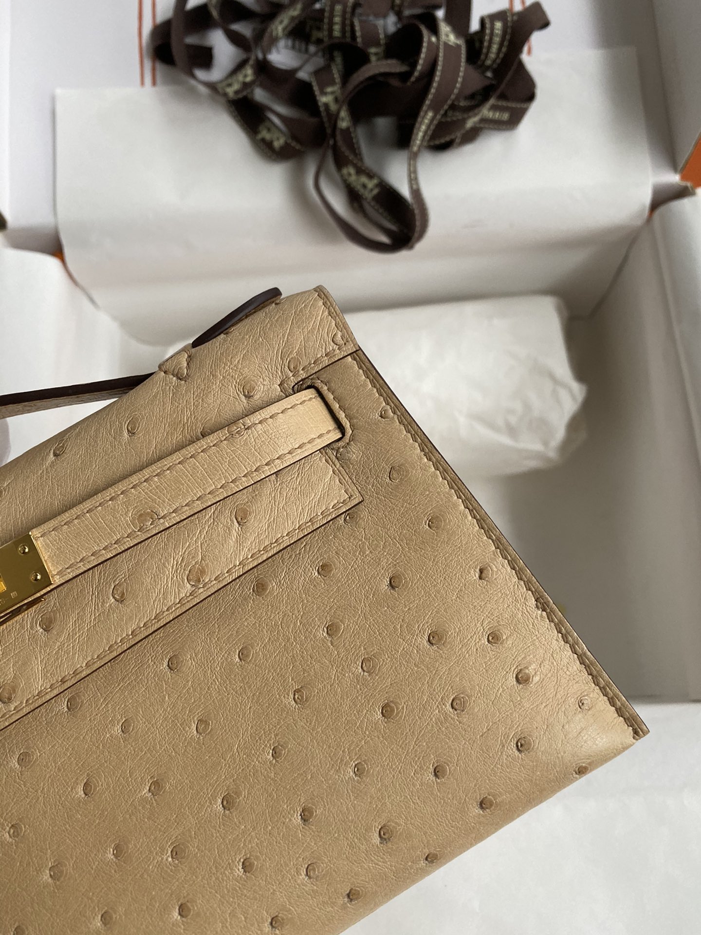 Hermes Mini Kelly Pochette 22cm Bag In Le Nude Ostrich Leather